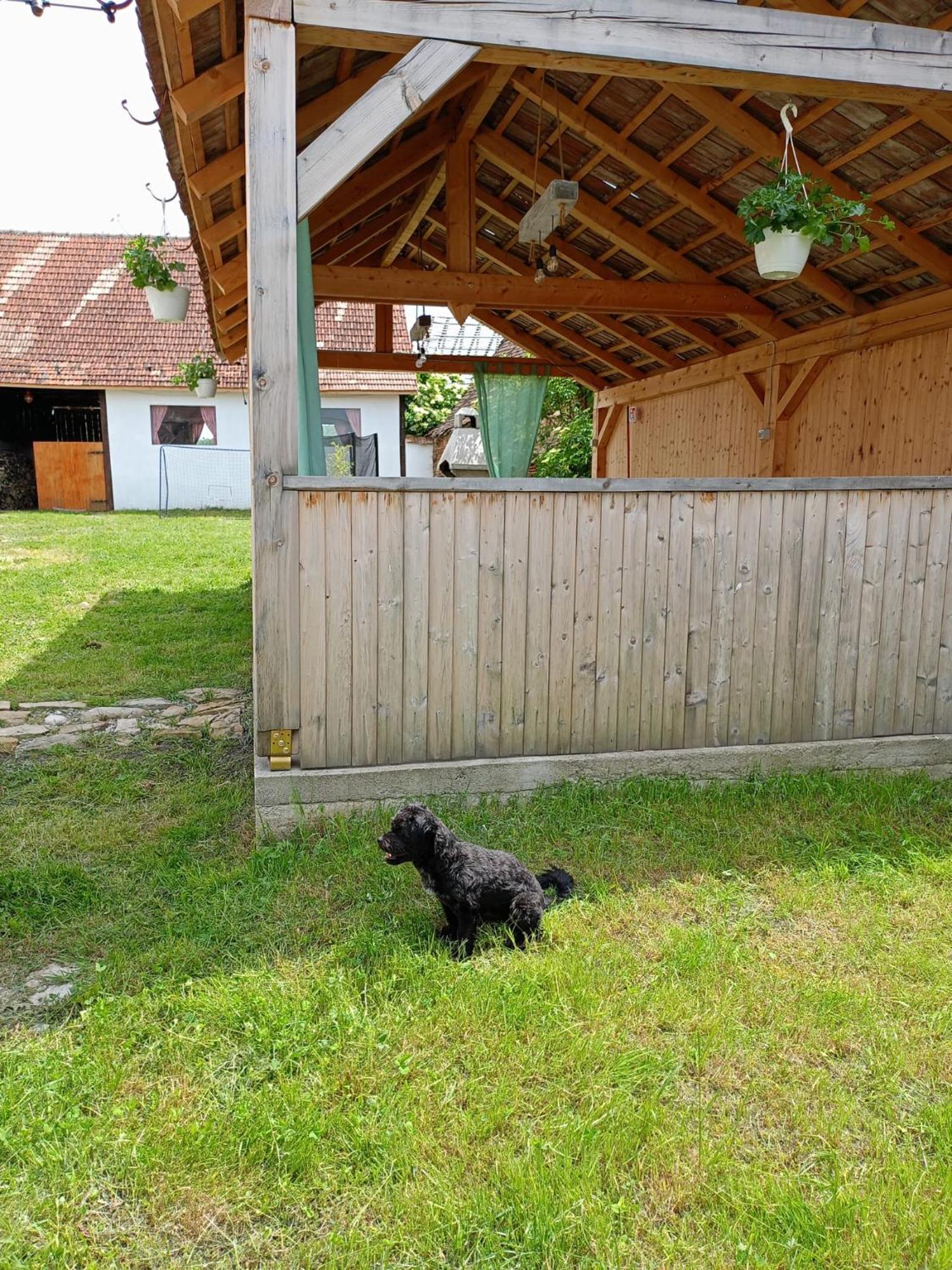 Chalet Giuel Barcut Luaran gambar